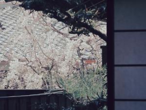 ryokan thumbnail