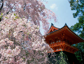 Koyasan