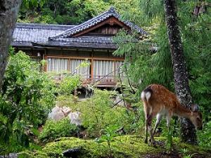 ryokan thumbnail