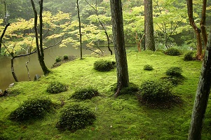 Kyoto